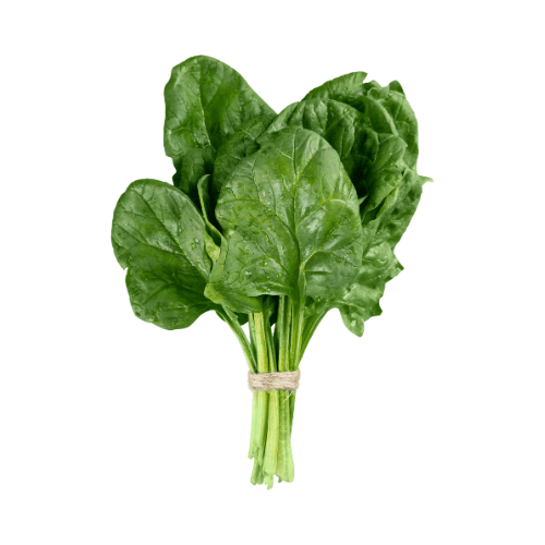 SPINACH