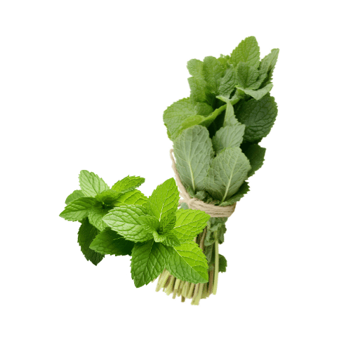 MINT