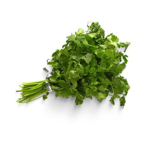 CORIANDER (PER)
