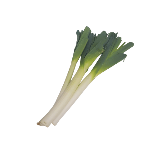 LEEK KG