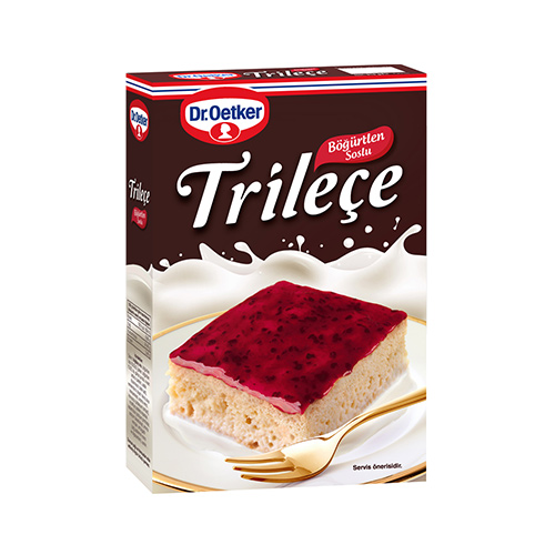 DR. OETKER TRILECE BLACKBERRY SAUCE 315 GR